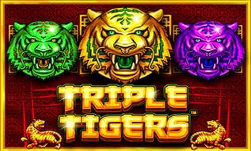 jeetwin arcade game triple tigers