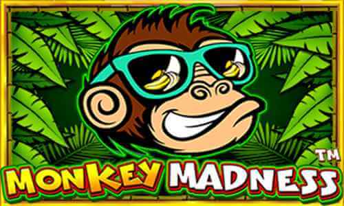 jeetwin arcade game monkey madness