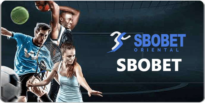 jeetwin sportsbetting platform SBO Sport